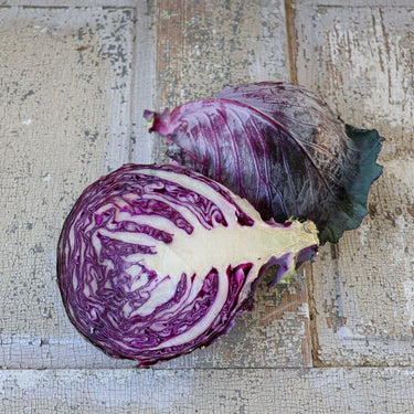 Mammoth Red Rock Cabbage (Heirloom 95 Days) - Vegetables