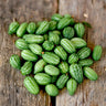Mexican Sour Gherkin Cucumber (Heirloom 75 Days) - Vegetables