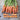 Nantes Carrot (Heirloom 72 Days) - Vegetables