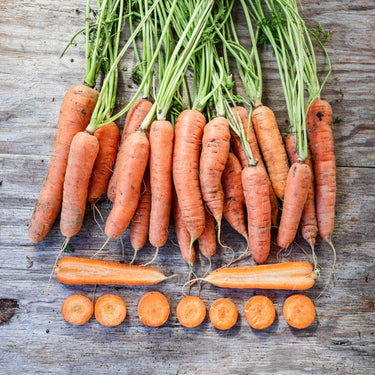 Nantes Carrot (Heirloom 72 Days) - Vegetables