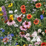 NORTH AMERICAN WILDFLOWER MIX 1 LB - Flowers