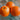 Orange Essential Oil (5 ml) - Garden Supplies