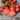 Oregon Spring Tomato (68 Days) - Vegetables