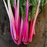Peppermint Swiss Chard (60 Days) - Vegetables