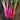 Peppermint Swiss Chard (60 Days) - Vegetables
