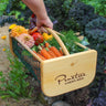 Gardener holding a Maine made harvest hod filled with vegetables and flowers in a garden, featuring Pinetree Garden Seeds logo.