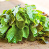 Pinetree Winter Lettuce Mix- 1/2 oz. - Vegetables