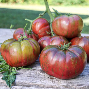 Pink Berkeley Tie Dye Tomato (Organic 75 Days) - Vegetables
