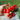 Principe Borghese Tomato (Heirloom 78 Days) - Vegetables