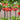Red Crown Imperial Fritillaria