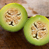 Rocky Ford-Green Flesh Melon (Heirloom 75 Days) - Vegetables