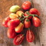 Roma Tomato (78 Days) - Vegetables