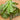 Rouge D’Hiver Lettuce (Heirloom 60 Days) - Vegetables