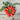San Marzano Tomato (Heirloom 82 Days) - Vegetables