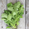 Sessantina Grossa Broccoli (34 Days) - Vegetables
