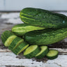Spacemaster Cucumber (59 Days) - Vegetables