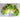 Speckled Butterhead Lettuce (Heirloom 55 Days) - Vegetables