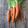 St Valery Carrot (Heirloom 60-80 Days) - Vegetables