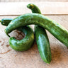Summer Dance Cucumber (F1 Hybrid 70 Days) - Vegetables