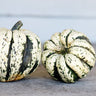 Sweet Dumpling Squash (100 Days) - Vegetables