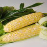 Sweetness Corn (F1 Hybrid 68 Days) SY - Vegetables