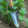 Hand holding a gardening trowel in a garden setting.