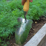 Hand holding a garden trowel in a garden setting.