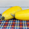 Vermicelli Squash (F1 Hybrid 90 Days) - Vegetables
