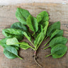 Viroflay Spinach (Heirloom 47 Days) - Vegetables