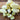 White Wonder Cucumber (Heirloom 60 Days) - Vegetables