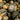 Winter Squash Blend (90-120 Days) - Vegetables