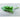 Bloomsdale Long Standing Spinach (Heirloom 42 Days) - Vegetables