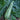Caserta Summer Squash (58 Days) - Vegetables