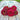 Cherry Queen Zinnia - Flowers