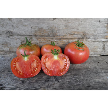 Damsel Tomato (Organic F1 Hybrid 73 Days) - Vegetables