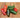 Early Jalapeno Hot Pepper (Heirloom 66 Days) - Vegetables