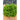 HANSON LETTUCE (heirloom) (65 Days) - Vegetables