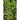 Kitchen Sink Greens Mix (1oz) - Vegetables