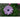 Lavender Shades African Daisy - Flowers