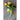 Nasturtium - Moonlight - Flowers