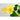 Nasturtium - Moonlight - Flowers