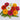 Profusion Double Mix Zinnia