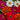 Profusion Mix Zinnia - Flowers