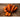 Red Cored Chantenay Carrot (Heirloom 75 Days) - Vegetables