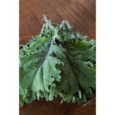 Red Russian Kale Microgreens (1oz) - Vegetables
