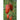 Speckled Roman Tomato (81 Days) - Vegetables