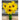 Sunfinity Sunflower - Flowers