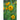 Teddy Bear Sunflower - Flowers