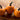 Wee Be Little Pumpkin (85 Days) - Vegetables