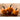 Wee Be Little Pumpkin (85 Days) - Vegetables